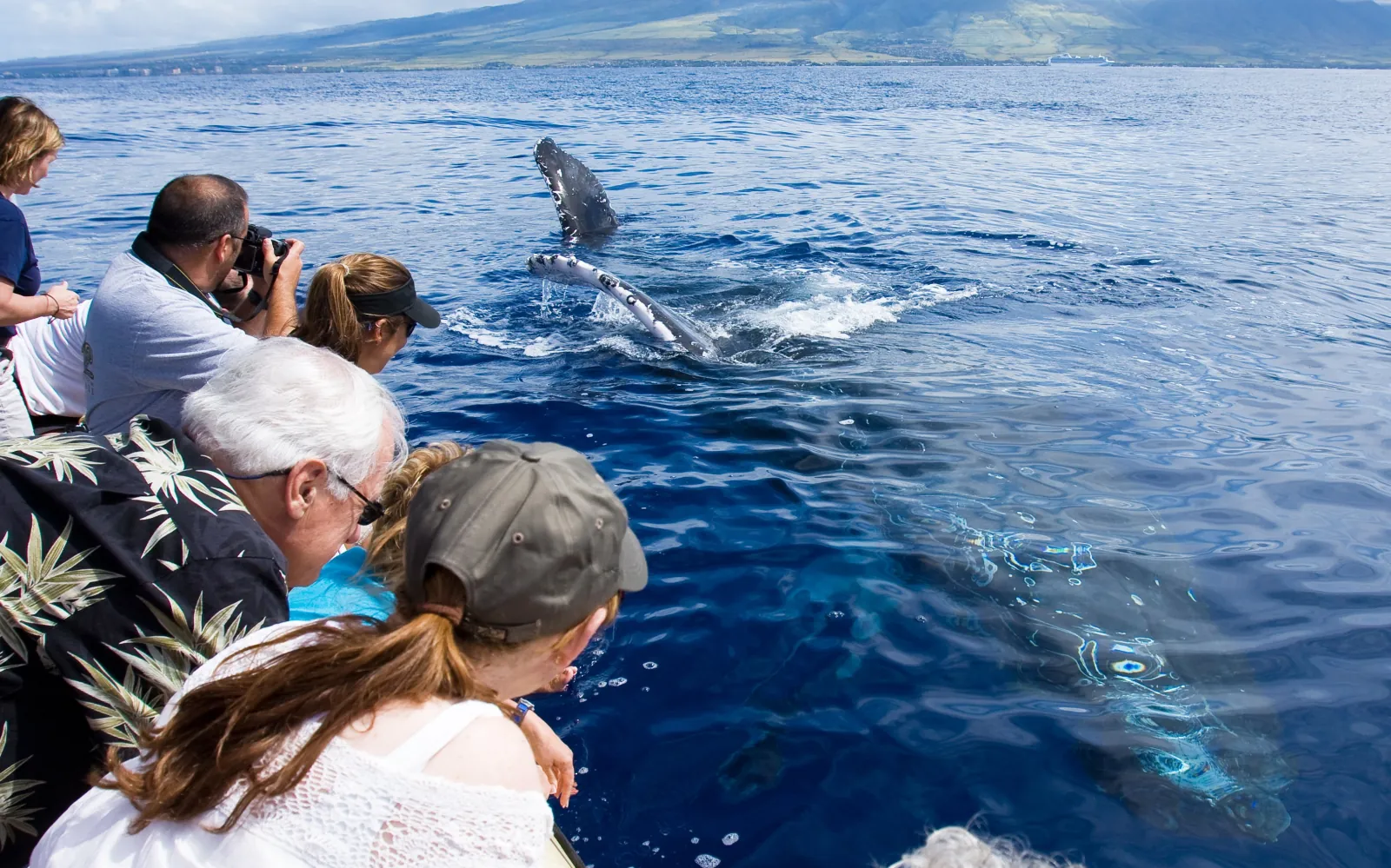 Guests lean over a boat rail as a humpback raises its long white pectoral fin alongside