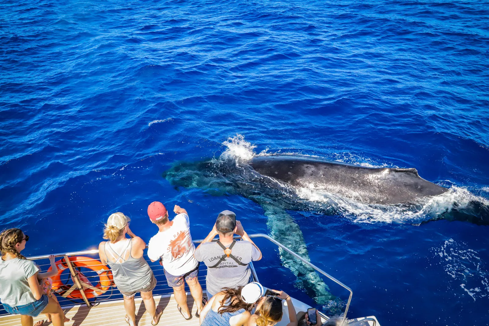 Guests at a boat rail photographing a humpback surfacing in deep blue water