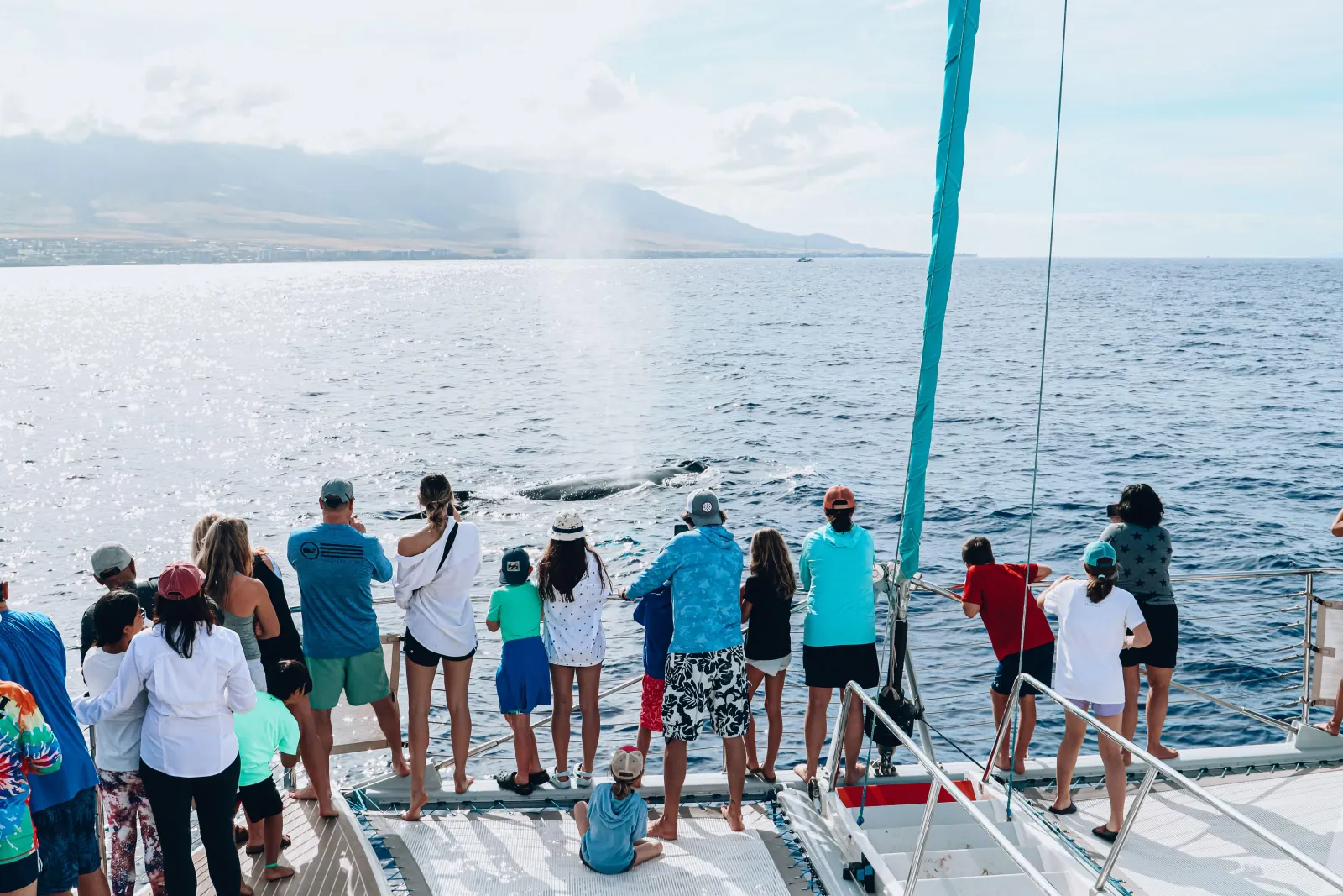 Guests stand along the bow of a sailing catamaran watching a humpback blow ahead