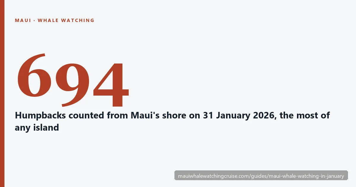 694 humpback whales counted from Maui's shore on 31 January 2026