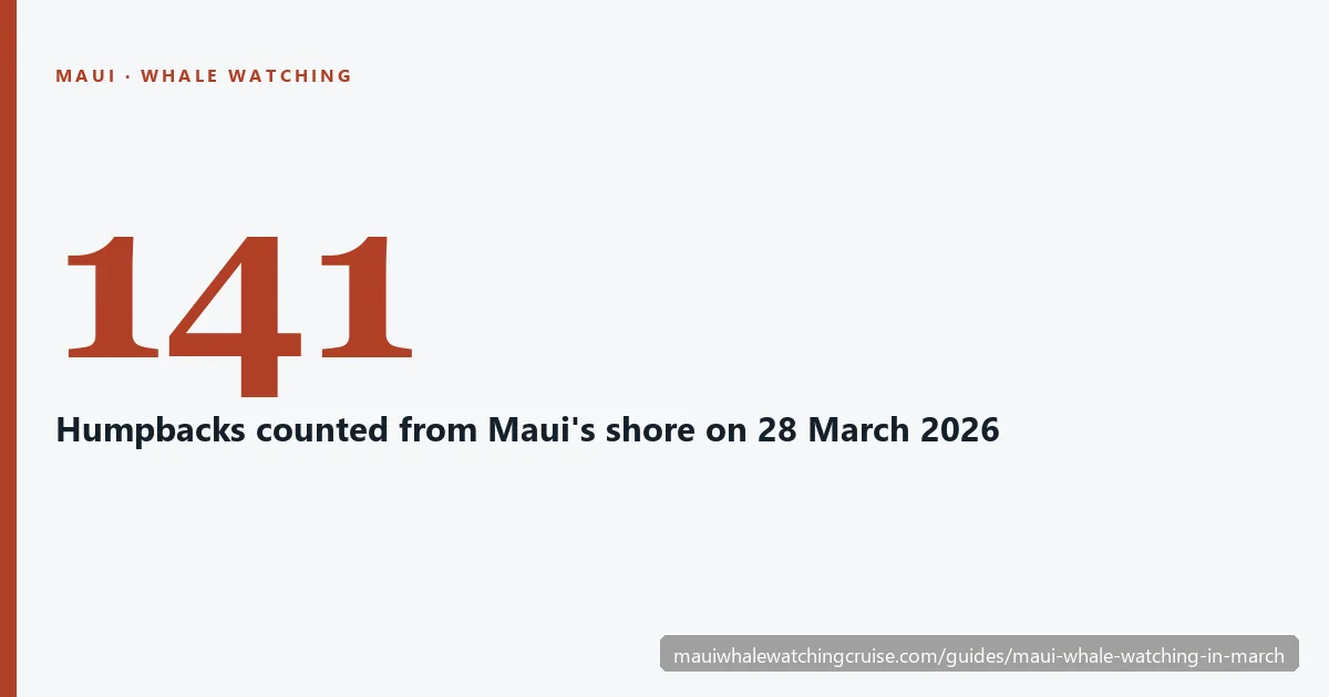 The number 141, the humpbacks counted from Maui's shore on 28 March 2026