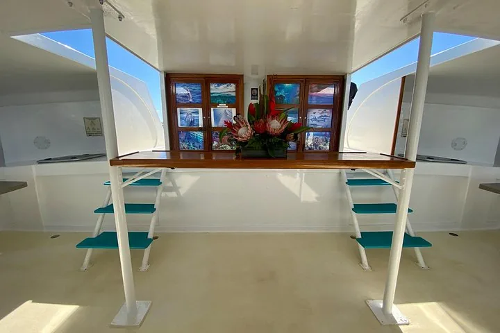 Catamaran cabin with flower arrangement, framed ocean photos and teal steps to the deck
