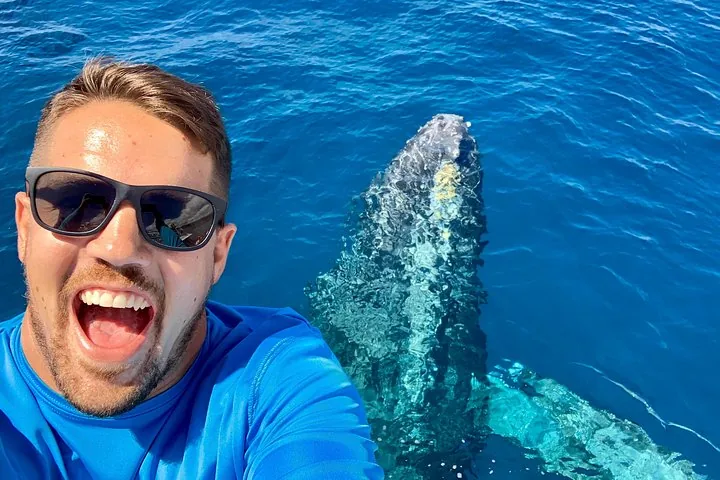Grinning man in sunglasses taking a selfie as a humpback swims just below the surface