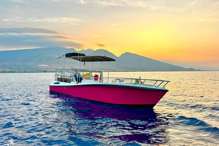 Pink open-deck boat on calm water under a golden sky with mountains behind